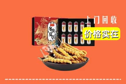 九江修水县回收冬虫夏草