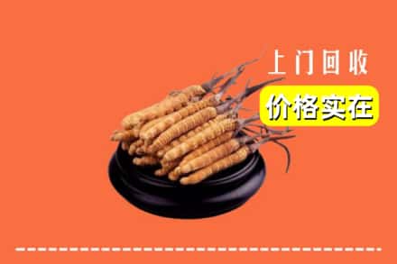 九江修水县回收冬虫夏草